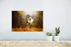 MuchoWow® Poster Hund - Laub - Herbst 30x20 cm - Plakate - Produktbild-Vorschau 5