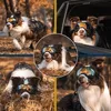 Hundebrille, Sonnenbrille für Hunde Winddicht und Produktbild-Vorschau 6