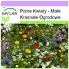SAFLAX - Polne Kwiaty - Małe Krasnale Ogrodowe - 1000 Podgląd zdjęcia produktu 4