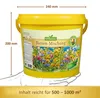 Bienen - Mischung im 5 l Eimer | Bienenwiese von N.L. Produktbild-Vorschau 5