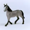 Cheval de Selle Français Jument Voir les images du produit 2