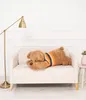 Hund Dexter 120cm - Braun Produktbild-Vorschau 2