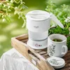A white Adler travel kettle and a mug of tea are placed on a wooden tray, surrounded by greenery. Produktbild-Vorschau