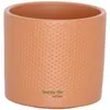 Set für Orchideen Keramik Blumentopf Toscana terracotta Ø Produktbild-Vorschau 3