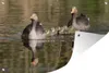 MuchoWow® Produktbild-Vorschau 1