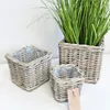 Rattan Pflanzkorb Set 3 Stück Natur – Übertopf / Blumentopf Produktbild-Vorschau 3