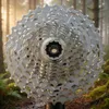 Shimano CS-M771-10, Kaseta rowerowa, Szary Podgląd zdjęcia produktu 2