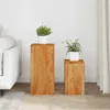 vidaXL Plantenstandaard, 2 stuks, massief acaciahout Productafbeelding-voorbeeld 2