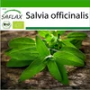 SAFLAX - BIO - Šalvia - Salvia officinalis - 60 Semená - S Náhľad obrázku produktu 10