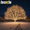 Izoxis 24898 Vánoční osvětlení 500 LED, IP44, 8 režimů, 35 Náhled obrázku produktu 2