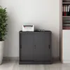 A dark gray metal filing cabinet with sliding doors is shown in an office setting, with a printer on top and a potted plant to the left. Podgląd zdjęcia produktu