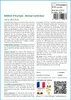 SAFLAX  - Mélèze d'Europe - 75 graines - Larix Voir les images du produit 3