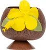Tazza di cocco Hawaii marrone - Taglia unica Anteprima dell’immagine prodotto 2