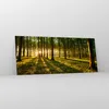 Bilder auf glas - Wald grün Sonnenstrahlen Natur - 120x50cm Produktbild-Vorschau 4