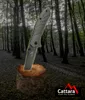 Cattara 13227 - Nůž zavírací TITAN s pojistkou 22cm Náhled obrázku produktu 6