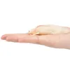 Toymany ML00310 Axolotl-Salamander 9,3 cm Reptilienreich Produktbild-Vorschau 3