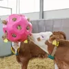 KERBL Heuball Pferde Spielzeug Futterspielball Pink Produktbild-Vorschau 7