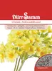 Wiesenschlüsselblume | Wiesenschlüsselblumensamen von Dürr Produktbild-Vorschau 1