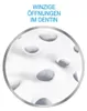 Sensodyne repair + protects white Tube 75ml Produktbild-Vorschau 5