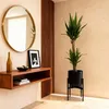 Green boutiQ - Plante d'intérieur - Yucca elephantipes - Voir les images du produit 4