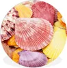 MuchoWow® Rundes Wandbild - Runde Bilder Muscheln - Rot - Produktbild-Vorschau 1