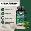 Astaxanthin 8 mg aus der Mikroalge Haematococcus pluvialis Produktbild-Vorschau 6