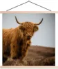 MuchoWow® Textilposter Schottisches Hochlandrind - Düne - Produktbild-Vorschau 1