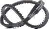 DAYCO 11A0910C Keilriemen 910mm für NISSAN PICK UP (D21) Produktbild-Vorschau 9