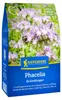 Artikelbild 2 von 'Phacelia (400 g)' aus der Kategorie Gründünger & -düngung Produktbild-Vorschau