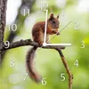 Wallario Design Wanduhr Eichhörnchen auf einem Ast aus Produktbild-Vorschau 1