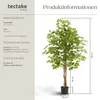 tectake® Künstlicher Ficusbaum Fida verschiedene Größen Produktbild-Vorschau 5