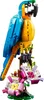 LEGO 31136 Creator 3in1 Exotischer Papagei, Frosch und Produktbild-Vorschau 2