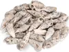Cerithium aluco 0,5 kg 5-7,5 cm ca. 34-45 Stück Produktbild-Vorschau 1