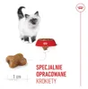 Royal Canin Kitten, Kocięta, Drób, 4 kg Podgląd zdjęcia produktu 16