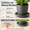 Pflanztopfuntersetzer Mira Anthrazit Ø 44cm - Frostsicher & Produktbild-Vorschau 5