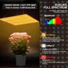 A grow light illuminates a potted plant with pink flowers. The image also displays a spectrum chart and details about the light's LEDs. Produktbild-Vorschau