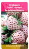 Weisse Ananas-Erdbeere - Set mit 4 Pflanzen Produktbild-Vorschau 4