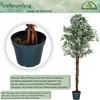 PLANTASIA Kunstpflanze Olivenbaum 180 cm Produktbild-Vorschau 3