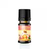 Duftöl 10ml Grosse Auswahl Tolle Düfte - Auswahl: Teerose Produktbild-Vorschau 9