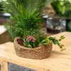 Seegras Korb Schale natur 28 x 20 x 11cm mit Einsatz Produktbild-Vorschau 2