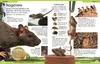 DK Kinderlexikon. Tiere Produktbild-Vorschau 6