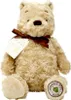 Peluche arcobaleno di Winnie the Pooh dal Bosco dei Cento Anteprima dell’immagine prodotto 2