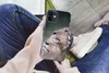 MuchoWow® Handyhülle Schutzhülle Hülle für iPhone 12 Löwe - Produktbild-Vorschau 3