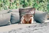MuchoWow® Outdoor Kissen - Kuh - Schottisches Hochlandrind Produktbild-Vorschau 2