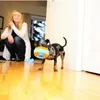 Chuckit! giocattolo per cuccioli Indoor Roller 13cm Anteprima dell’immagine prodotto 6