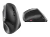 CHERRY MW 4500 ERGO Wireless Maus                    Anteprima dell’immagine prodotto 12