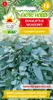 Toraf 10Pcs Eukalyptus Richtige Samen Immergrüner Baum Produktbild-Vorschau 2