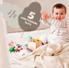 Montessori Holzspielzeug Set 5-in-1 für Kinder 1-2 Jahre – Produktbild-Vorschau 4