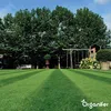 Rasen-Topdressing - Mischung mit Mykorrhiza und Produktbild-Vorschau 2