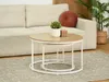 A living room scene with a couch, coffee table, and plants. Podgląd zdjęcia produktu